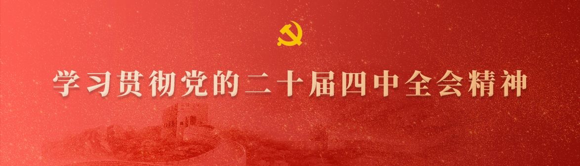 学习贯彻党的二十届四中全会精神